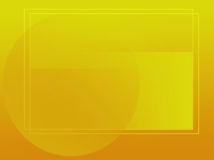 收益分析实施路线图规划